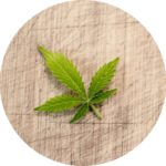 how cannabis can help you